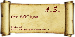 Arz Sólyom névjegykártya